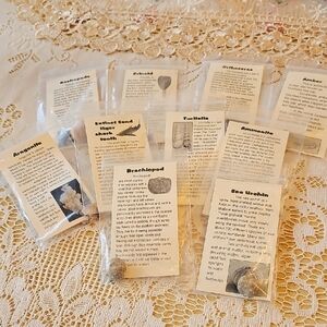Educational Fossil and Mineral Discovery Kit - Assorted Beige/Tan Specimens